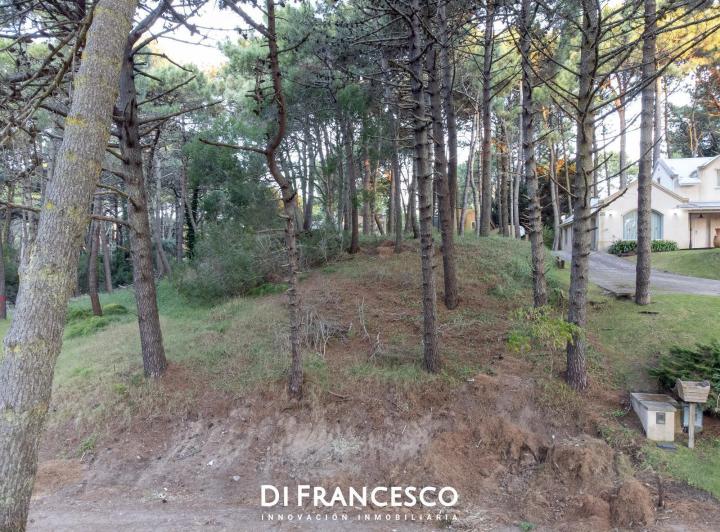 Terreno · 1093m²