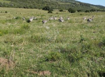 Foto1 · Se Vende Chacras en un Lugar con Vistas a Las Sierras Cerca de Aigua - Hay Financiación