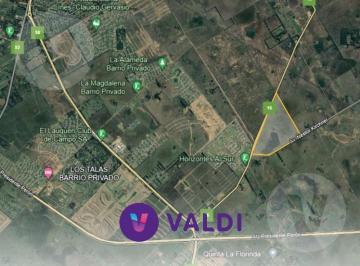 Campo · 890000m² · Campo en Venta - Canning Sobre Ruta 16