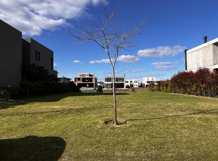 Terreno · 800m²