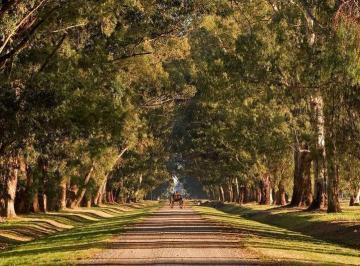 Terreno · 1387m² · Lote de 1300 m² en Venta en Estancia Villa María. Ezeiza - Cañuelas.