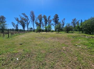 Terreno , Anisacate · Ya! Esc/oferta. Lote Llano C/escritura de 2500 m
