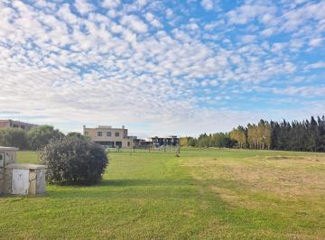 Terreno , Ezeiza · Canning La Providencia Terreno 1341 m² Amenities Permuta