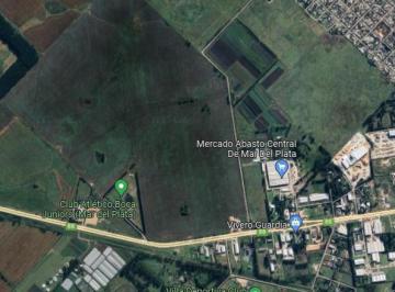 Campo · 50000ha · 7 Ha en Zona Mercado Abasto Central - Sobre Ruta 88