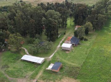 Campo de 8 ambientes, Brandsen · Fracción de 22 Ha a La Venta en Brandsen