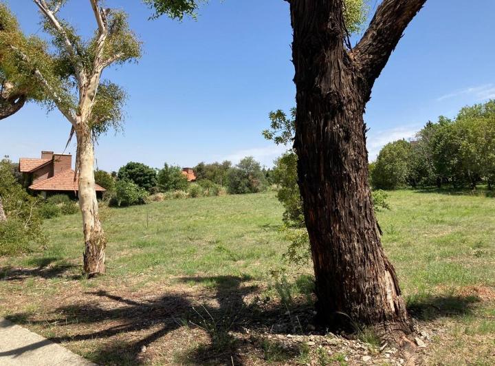 Terrenos en venta — RealXpertAI