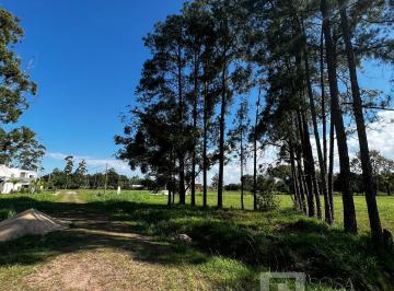 Terreno · 736m² · Terreno en Barrio Federacion Medica