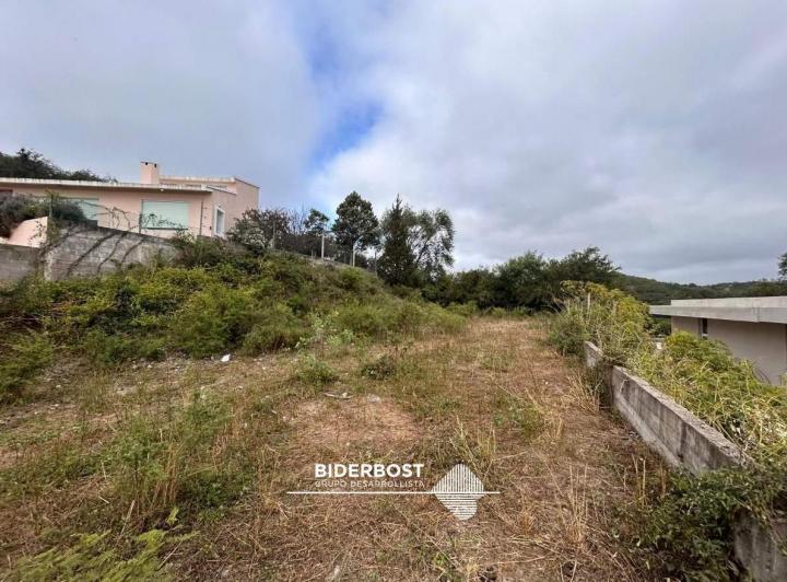Terreno · 1000ha