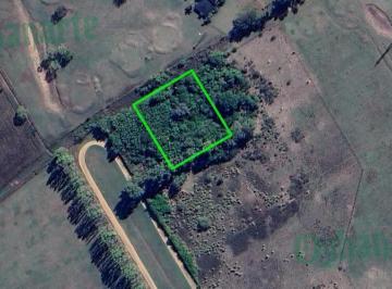 Terreno · 4550m² · Venta de 4550 m² en Pilar - Oferta