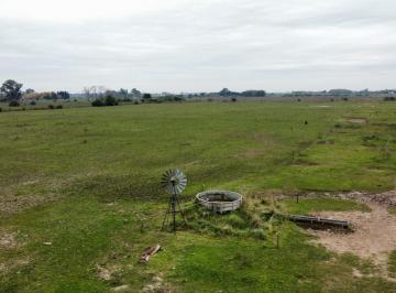 Campo , Ranchos · 28 Ha Sobre Acceso Ranchos. General Paz.