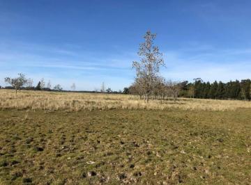 Terreno · 125000m² · Venta Freccion / Chacra Las Tahonas 12,5 Ha