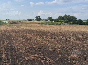 Campo · 140000m² · Venta de Campo en Camino Paso de Panta, Departamento de San José.