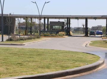 Terreno · 502m² · Lote. | Lote en Venta en Carpinchos, Nordelta