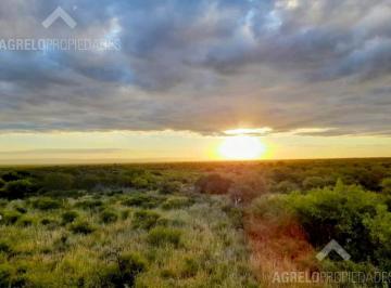 Terreno · 50000m² · La Travesía Terreno de 5 Hectáreas en Venta