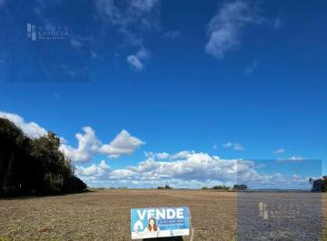 Campo · 60000m² · Campo en Saladillo