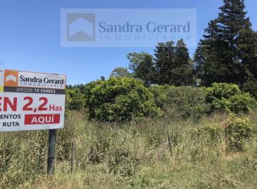 Campo , San Pedro · Importante Fraccion Sobre Ruta 1001 Para Multiples Desarrollos Comerciales