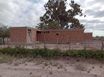 Campo · 1610000m² · 1 Ambiente · Finca en "Las Catitas", Mendoza. 100% Agua de Riego