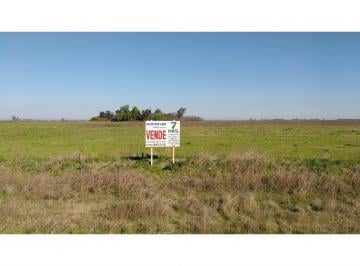 Campo · 35000m² · Campo en Roldán Sobre Ruta Ao12