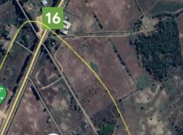 Campo , San Vicente · Venta 31 Hectáreas Sobre Ruta 16