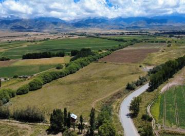 Terreno , Tupungato · 26 Hectáreas en La Carrera Sobre La Ruta 89. Agua y Luz. Frente Al B° Atamisque