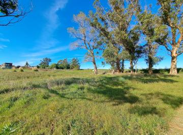 Terreno , Mar del Plata · Terreno / Lote en Venta de 473 m² Ubicado en Los Acantilados