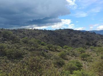 Terreno · 47220m² · San Francisco del Monte de Oro, Chacra Sobre Ruta, Escritura Inmediata