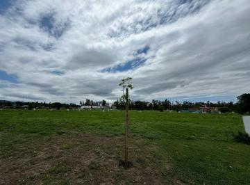 Terreno · 250m² · Venta Terreno en Nuevo Malagueño. Listo Para Escriturar