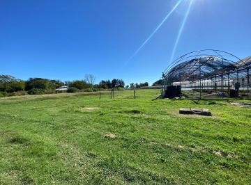 Terreno · 6058m² · Importante Oportunidad: Dos Lotes a La Venta en Conjunto