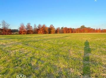 Terreno · 1600m² · Venta - Lote - Pinares Country Club - Exaltación de La Cruz - Acepta Financiacion