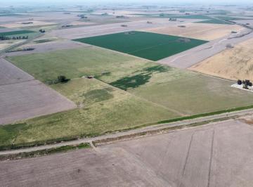 Campo · 800000m² · Campo en Santa Teresa