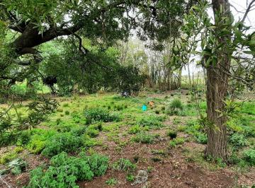 Terreno · 1m² · Amplio y Agreste Lote en Venta a 10´ de Pinamar