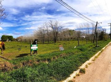 Terreno · 8500m² · Venta de Lote, Apto Para Subdivision.