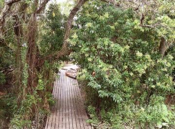 Terreno · 11668m² · Venta Lote en Primera Sección del Delta del Paraná, Dos Rios. Lote 34