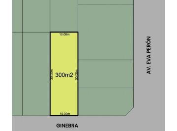 RFP-RFP-1296_2 · Lote. | Ginebra Al 100
