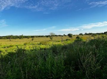 Campo · 240000m² · Vendo Campo 24 Has en Autovía 14 Concepción del Uruguay Entre Ríos