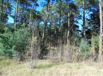 Terreno , Cariló · Lote Unifamiliar en Barrio Zorzal (Cod - 50019)