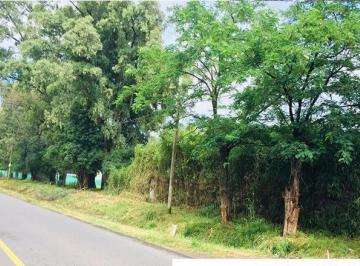 Terreno , Moreno · Lote Sobre Calle Tulissi, Francisco Alvarez.