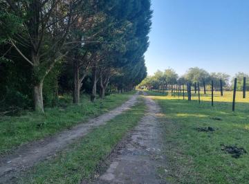 Campo · 100m² · Fraccion con Casa