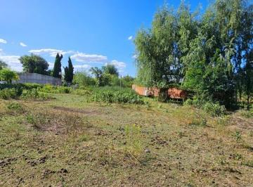 FAE-FAE-650_2 · Lote. | Los Aromos