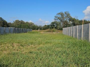 FAE-FAE-653_2 · Lote. | Alberti Al 300