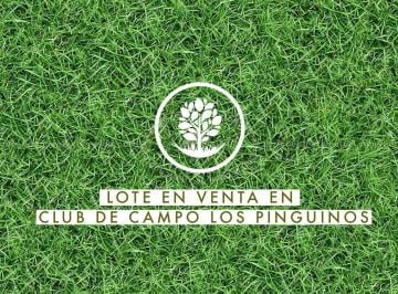 MSB-MS3-7211_2 · Lote. | Los Pingüinos - Ituzaingó