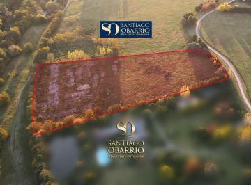 Terreno · 37000m² · Excelente Lote de 3.5ha en Venta en Haras Argentino Farm Club de Luján Terreno