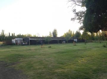 Campo · 100000m² · Chacra en Venta en Villa Alberdi