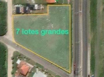CRP-CRP-2520_2 · Lote. | Felix U Camet