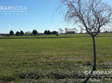 Terreno · 980m² · Terreno en Haras del Sur Brandsen