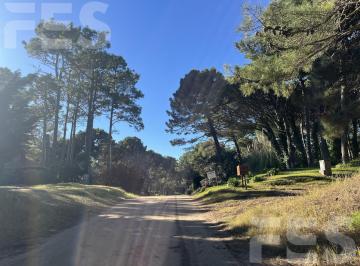 Terreno · 600m² · Terreno en Venta en Barrio Lasalle Pinamar