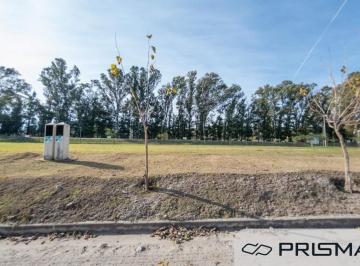 Terreno · 350m² · Terreno en Venta - Tejas Cuatro