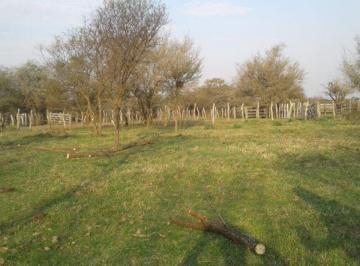 Departamento · 72m² · Campo en Sauce de Luna