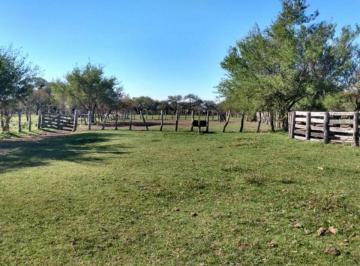 Departamento · 510000m² · Campo en Sauce de Luna