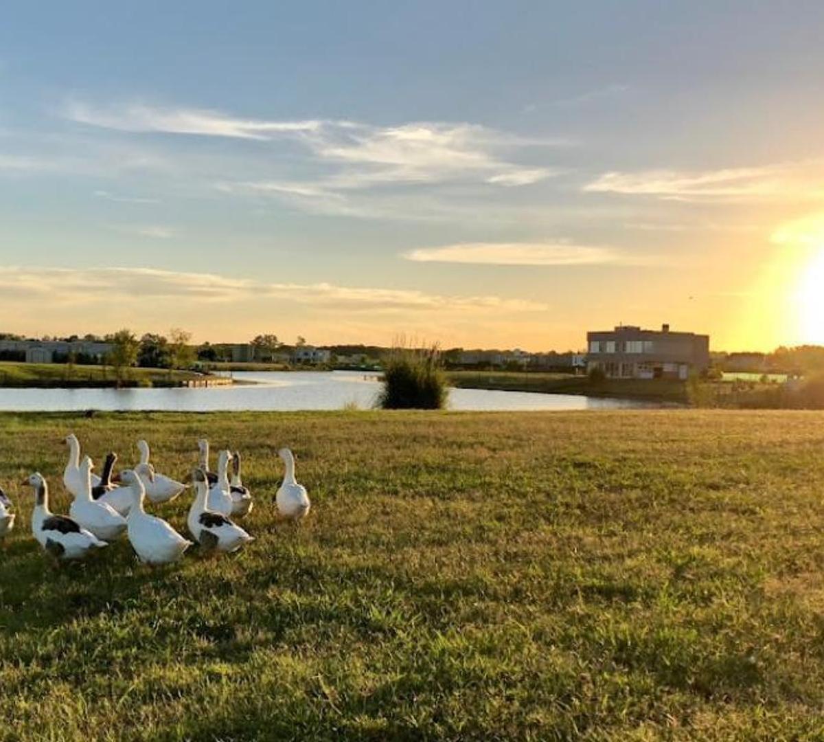 En Venta Lote Interno Con Vista A Laguna En El Barrio El Canton Golf,, El Cantón, El Cazador